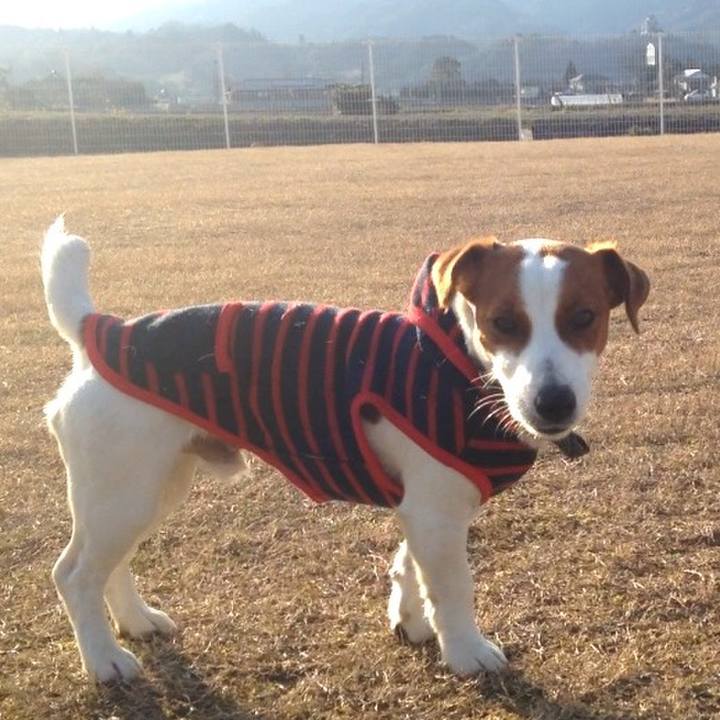 D804ca13 6301 4081 b6f3 ac6e185c93b9