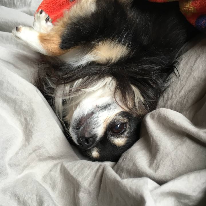 D804d380 bb9f 4085 ac10 3c8b0095b95f