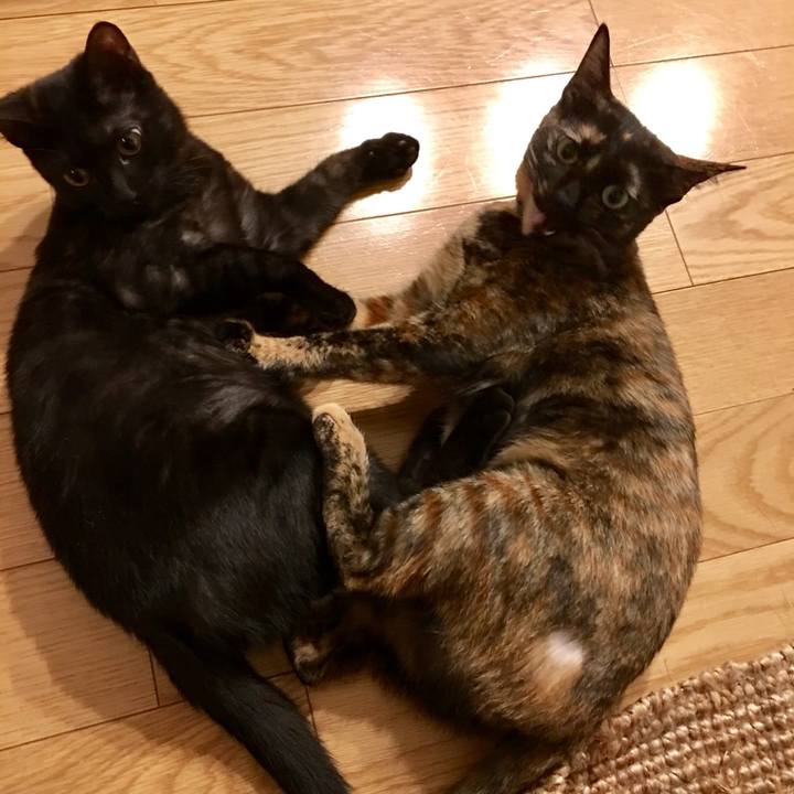 D8050202 4ef8 431b 9823 5a39645e16cb