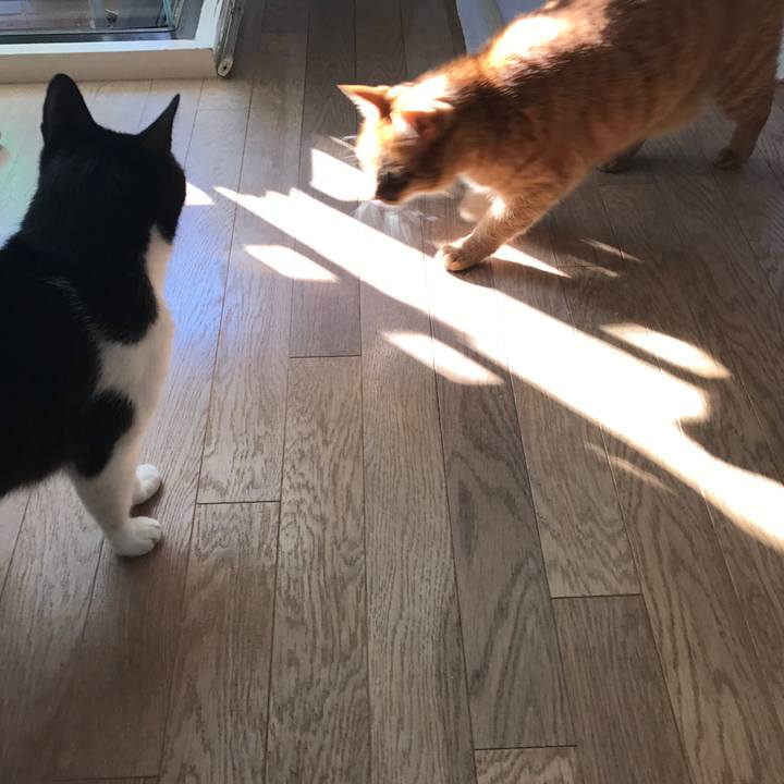 D805043c 5522 44fb b222 e242ad2d1f4c