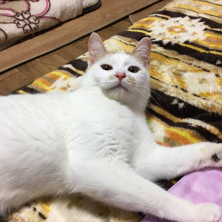 D8054e4e 953b 4f63 b0ac 5835cb4a9141