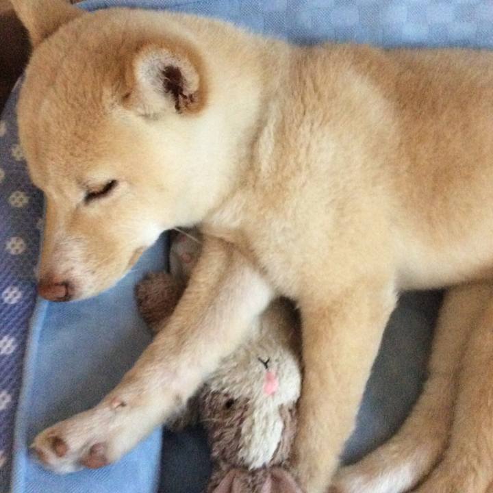 D806cd1f a925 4139 b426 584f4d047a89