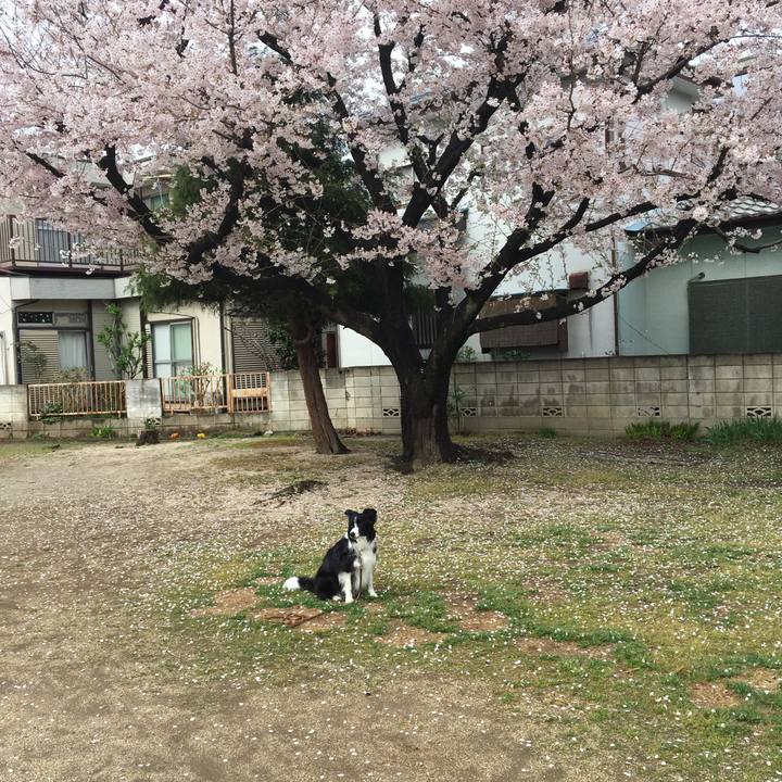 D806e1dd 3e25 42ac a70e 0127880854b7