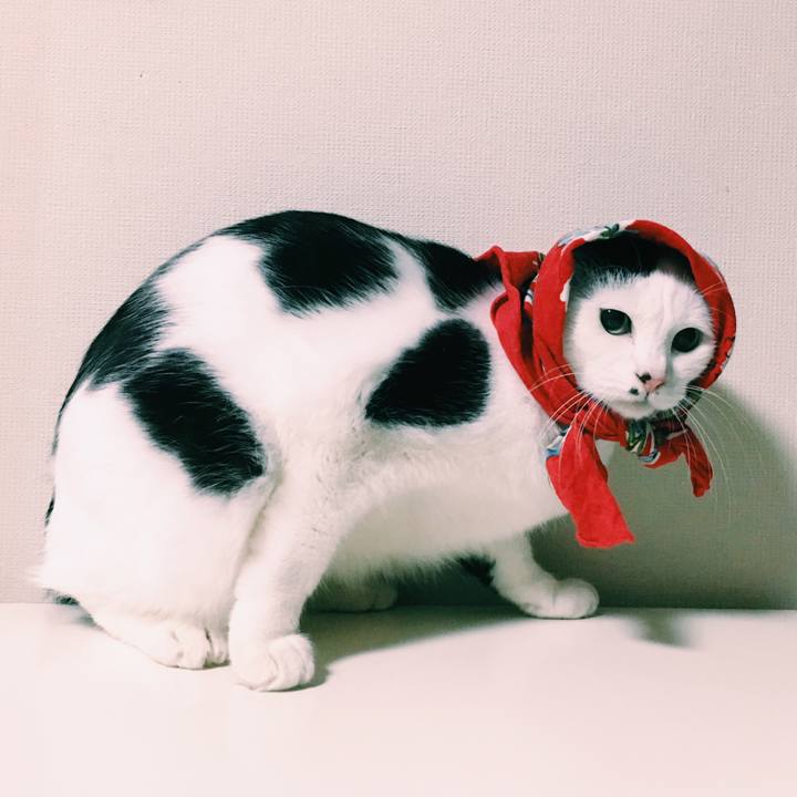 D806f132 9f55 4f27 9ee9 c0c7e491294a