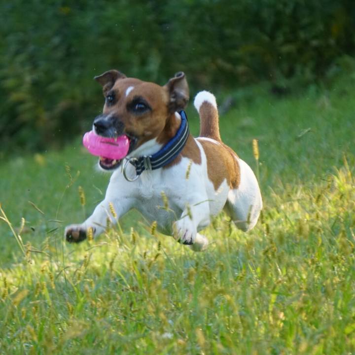 D80773e5 a0e3 4f8a bcd9 19bfe27779b5