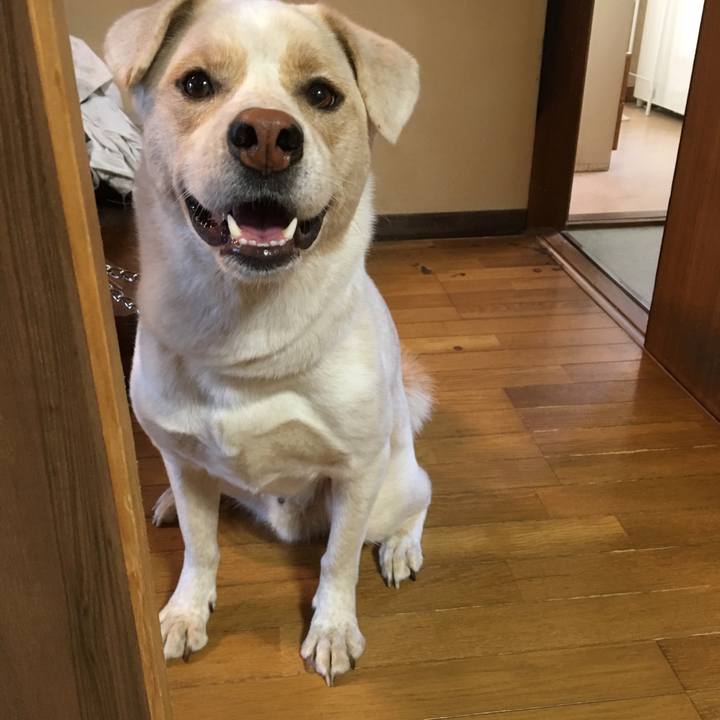 D80786f0 3996 4d17 b7da 21c0ae148dcd