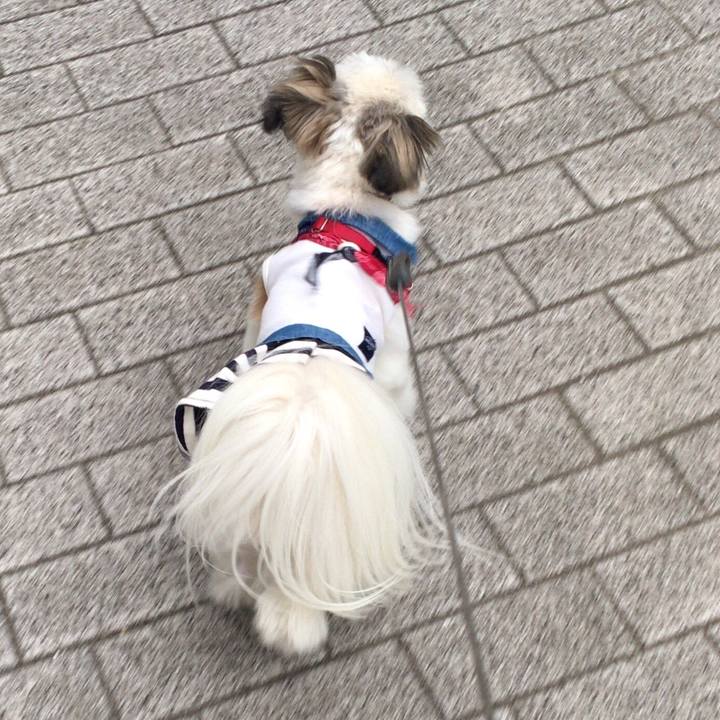 D8083267 693d 4654 af10 6aac9074fe01