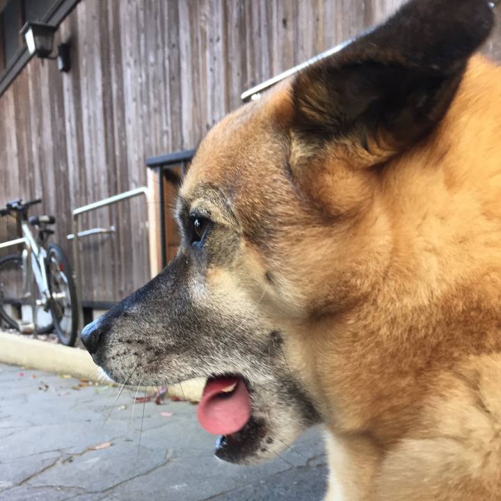 D8086ae4 8c13 49e6 bd85 66cd77269a10