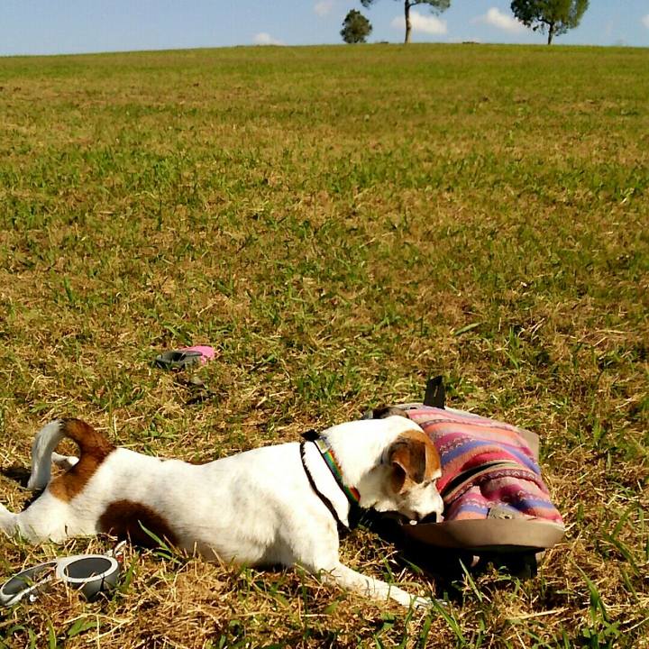 D8099eb1 faca 4ca0 98df a60c8b47814c