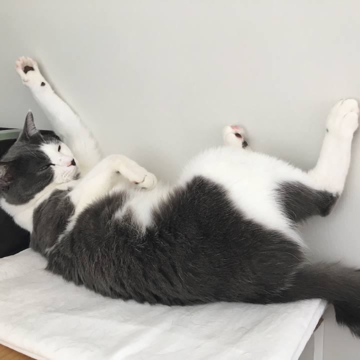 D809a43e 85ad 421d 9f66 b5bd84817565