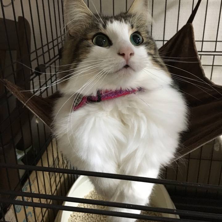 D80a6080 f7af 4048 88da ef66af89bffe