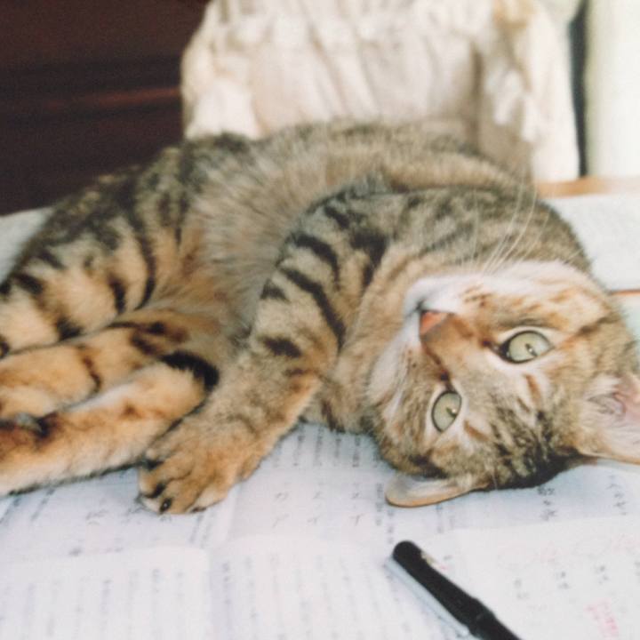 D80a68f1 776e 40dc 8074 210b604e8969