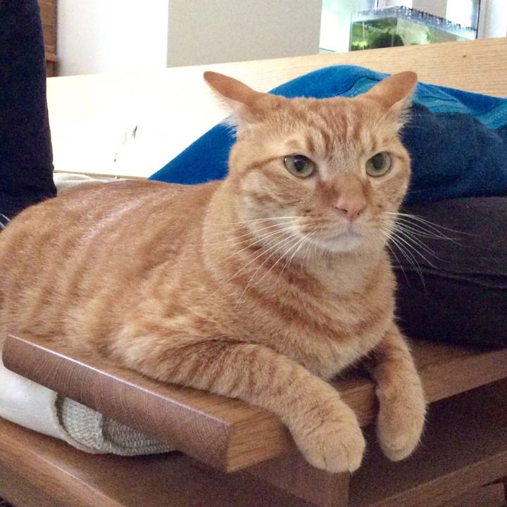 D80a9db6 67c8 44e4 819c 160b1f9cb73f