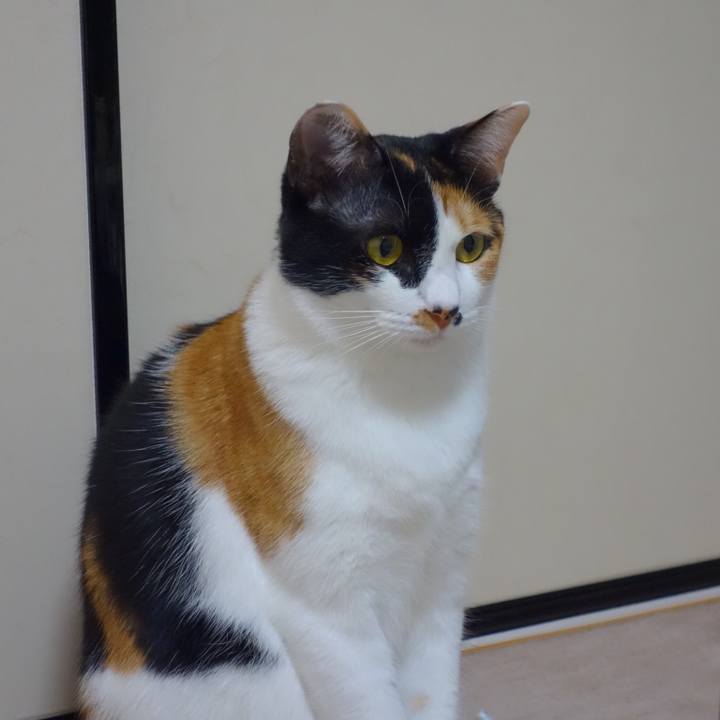 D80b7926 9267 4baf 92f1 6e3d012d55af