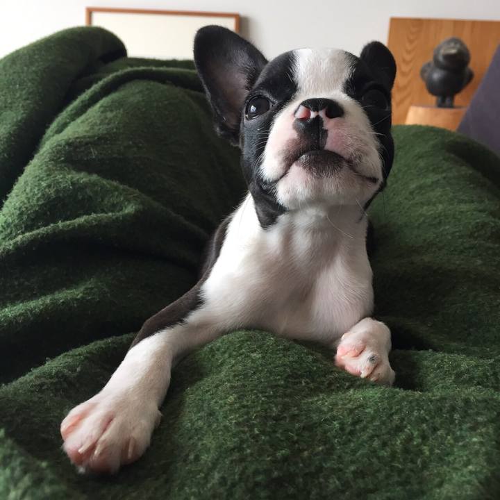 D80b9a31 211e 42ea 8f80 401e5305313e