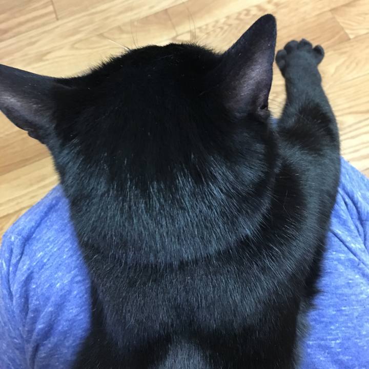 D80ba8ce ed98 43dd 81fc 9163e3188e07