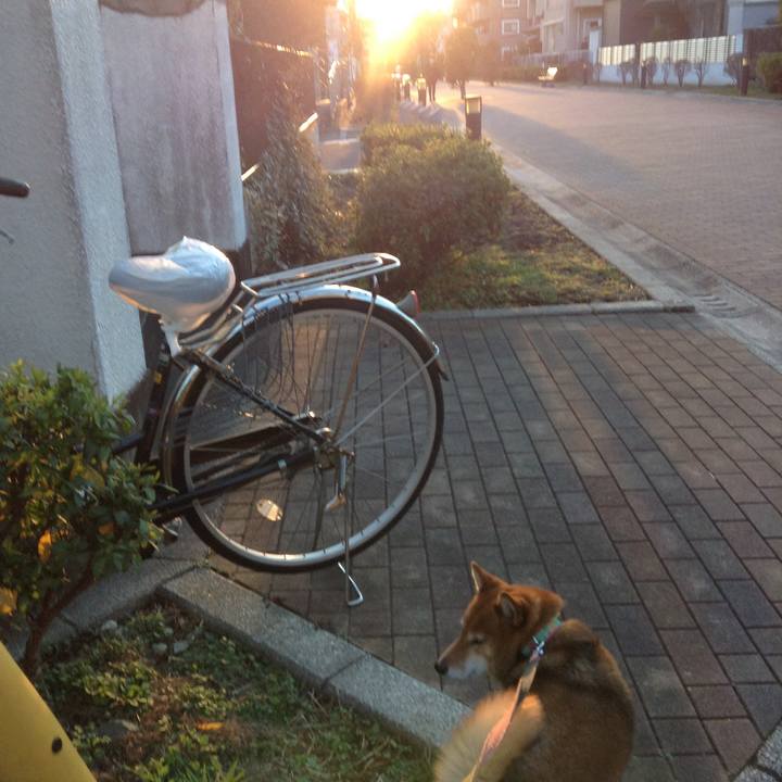 D80be75f 9d10 42ae 88ce f13318ef81e5