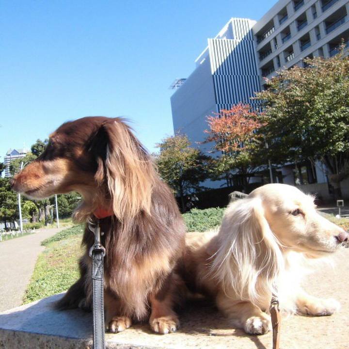 D80d0816 9770 4cd9 b6b4 f79477e6f080