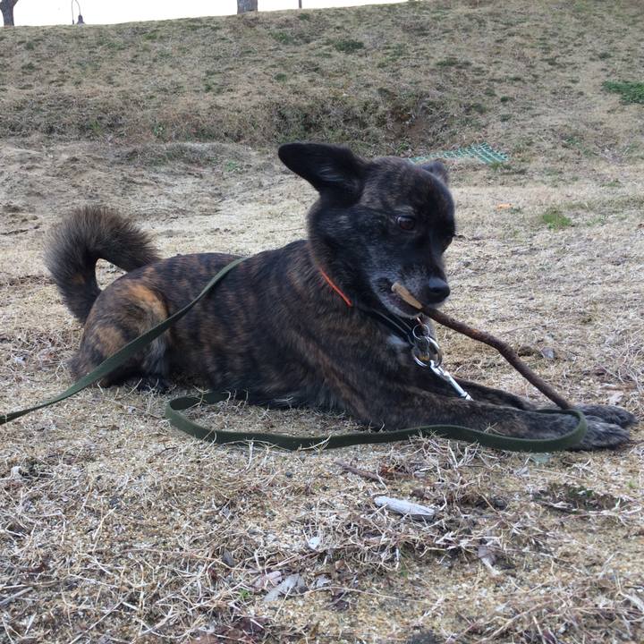 D80d33d8 ae4b 41f3 88c4 882933bd937f