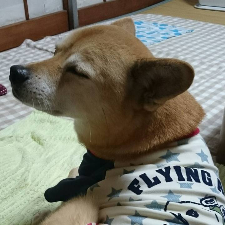 D80d698d ae42 4a57 a3aa 1f780a9ca5ca