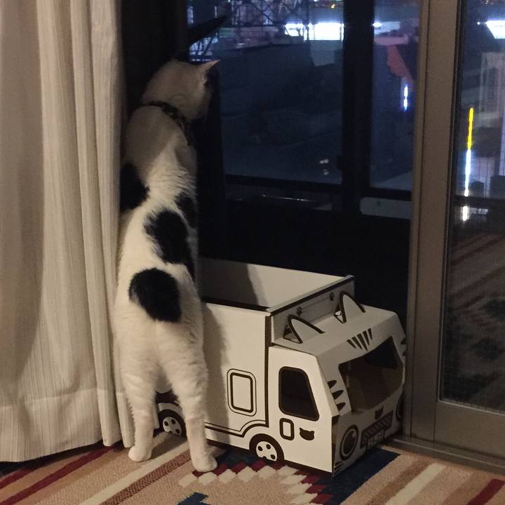 D80d7d94 b17d 4274 a1a2 5177c629bd45