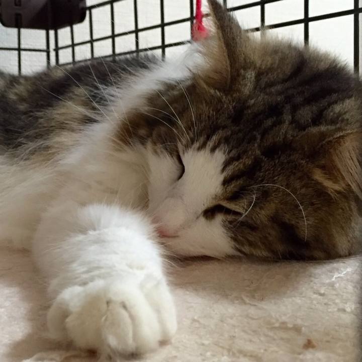 D80d8eb9 e8d5 4ea6 bc93 5398d3677de5