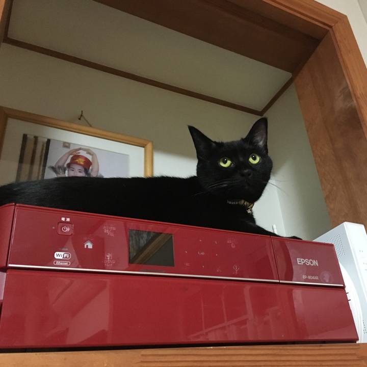 D80f5c3a 9f07 4526 b481 d1868dc9a15d