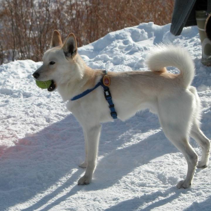 D80f7d6f f493 49d2 aa1b 6fe9a13429e5