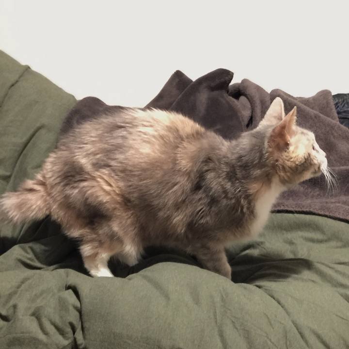 D80fa4ac 632c 4cc3 bc12 0ee6dea7623b