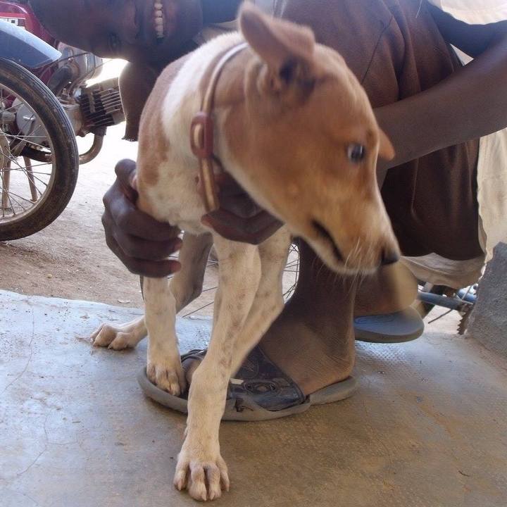 D80fd352 4bd9 4023 90f9 e7b959e9b5fc