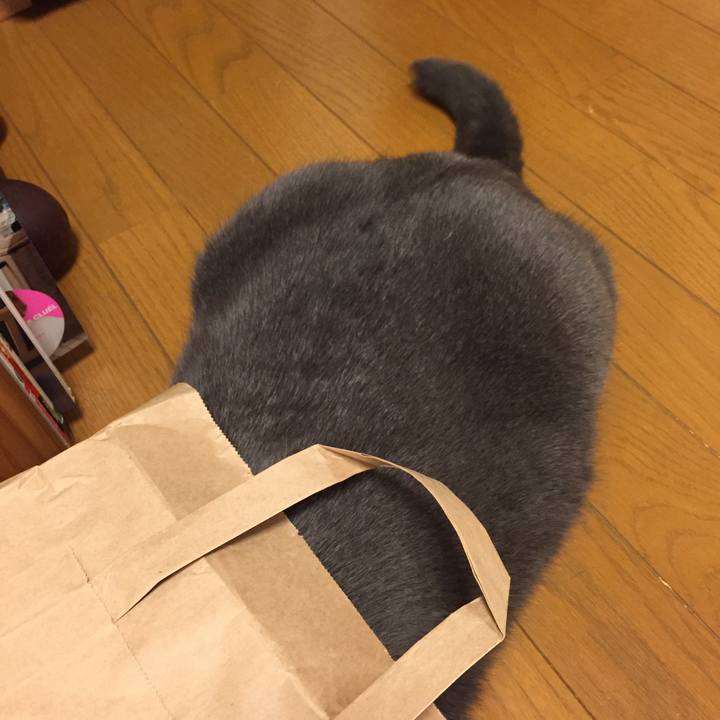 D810e550 033d 4d71 9c7a 448985f870ca