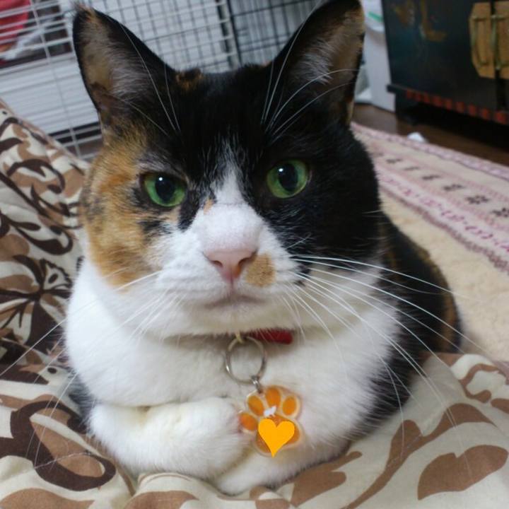 D81101e2 ee90 4a47 a527 021572470049