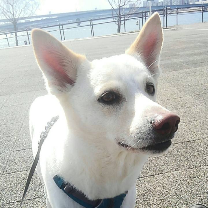 D811924f 0755 4773 bfa0 dda5426a487a