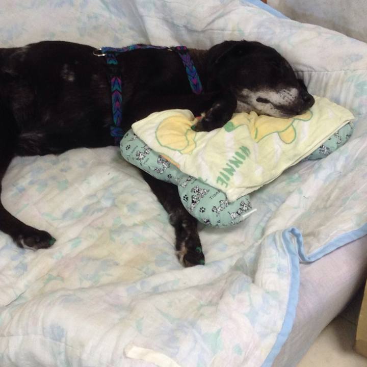 D8119f61 733e 46c1 a58a 7783a6287183