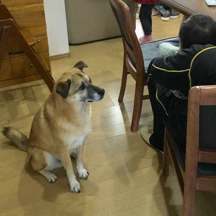 D811bbac be1c 40a0 9c6d c25f627f8dfc