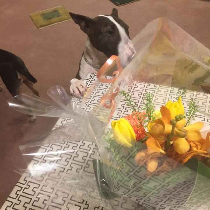 D8127d69 8e53 4ca7 91a6 f4bdbe2df17a