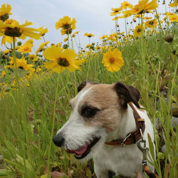 D812f29e b42c 49cb 845c 111da17f2867