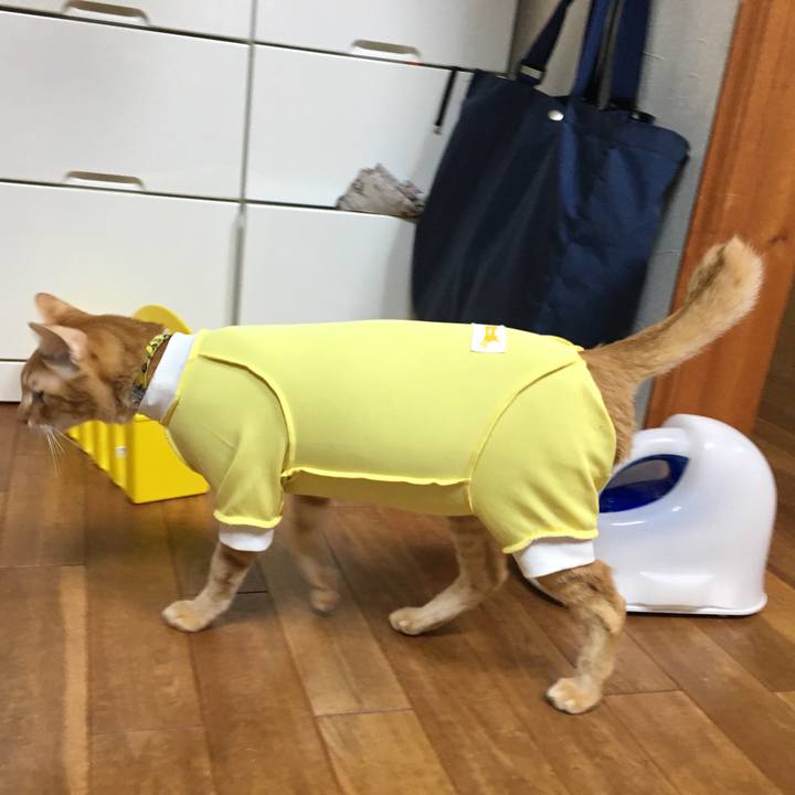 D8132433 0d21 4730 a1d2 36e2d8204de4