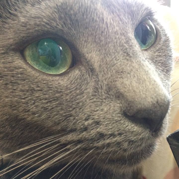 D8139ce6 33cf 4485 893c 1bf33050cf2c