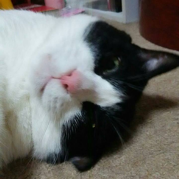 D813becd 827f 48e6 a0b1 78278ae65438