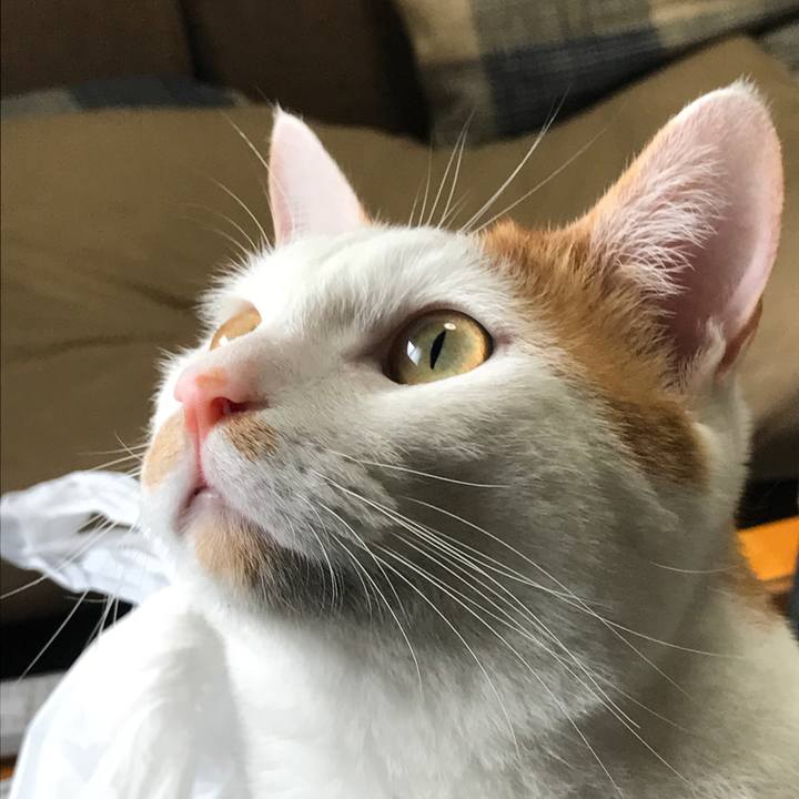 D813fd15 7d35 472c 917d 05caa98c2b07