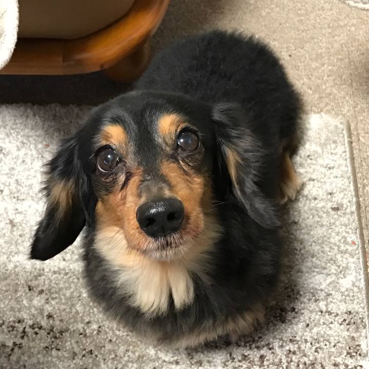 D8142010 d91e 43af 97c8 b4645139ff1d