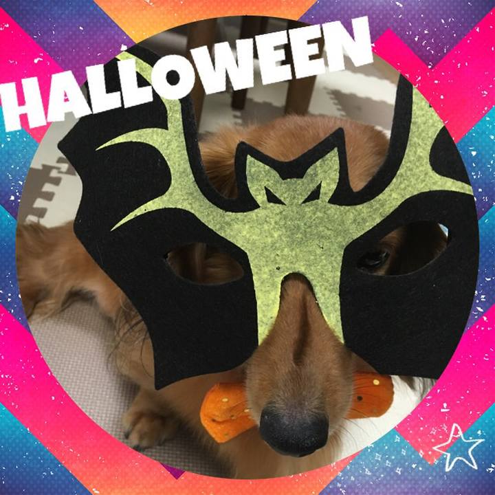 D814d554 a0d7 4252 81ce 7ca9c591eab9