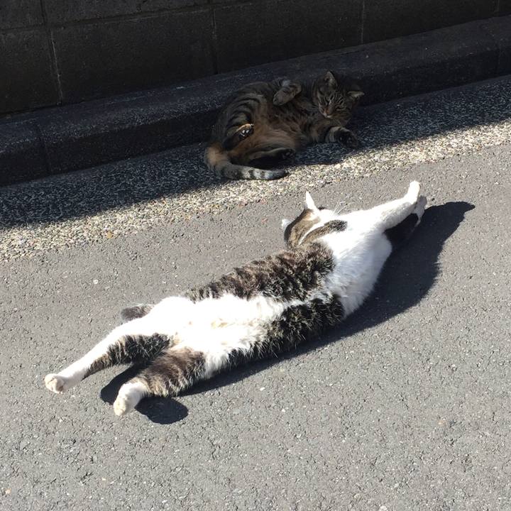 D814e145 5c7d 4b8b 94ad 1f5c7309b918