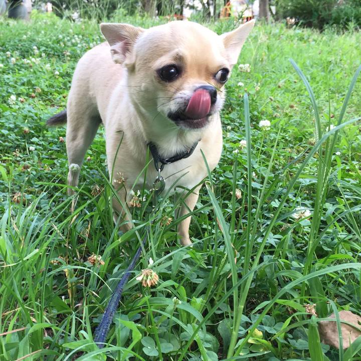 D816ff95 f98f 4fec bbd1 a1e7fc9519c8