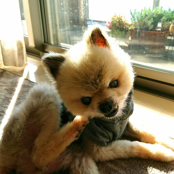 D8171b71 6eb0 48b2 9537 5151a0e83dec