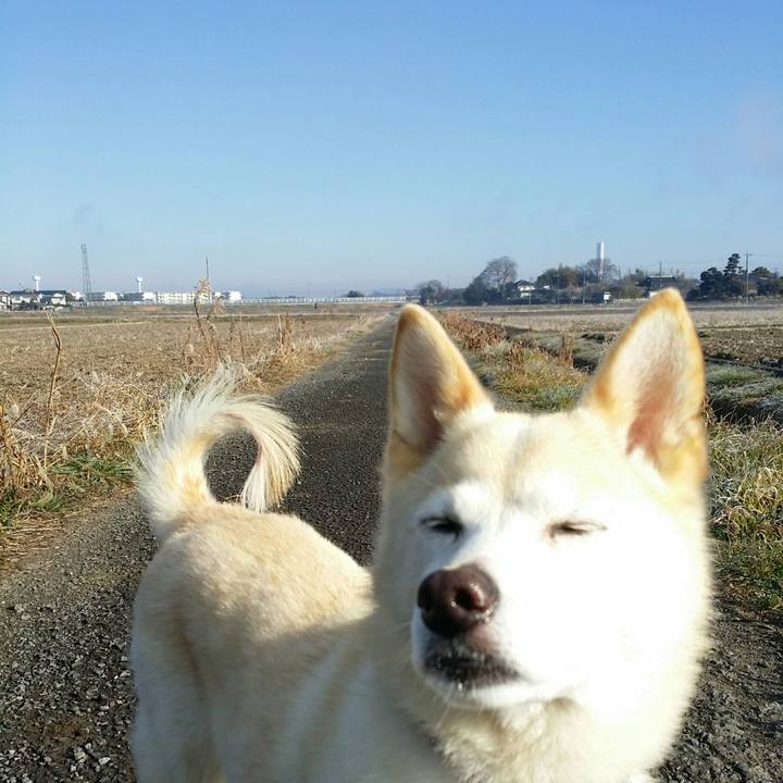 D8171d0a bfff 43a6 a4c5 c371889c3910