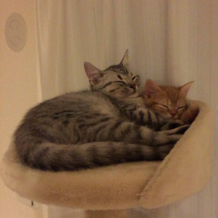 D817233a 819e 4030 9efb dd7174d03eca