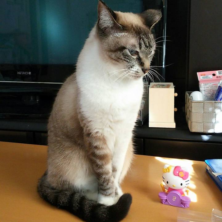 D8174c06 7413 4482 a1bf 71f6642dcf1b