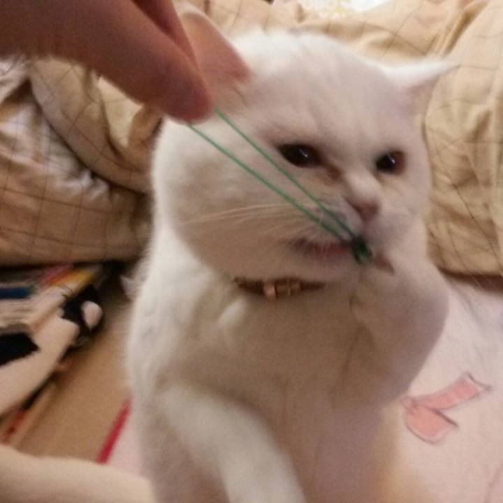 D817ca5d 09aa 4627 9d7e 6731f6121218